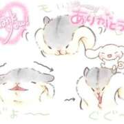 ヒメ日記 2026/07/23 01:23 投稿 体験なな ミセスコレクション