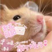 ヒメ日記 2026/08/04 03:23 投稿 体験なな ミセスコレクション