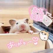 ヒメ日記 2026/08/08 02:33 投稿 体験なな ミセスコレクション