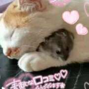 ヒメ日記 2026/08/23 18:37 投稿 体験なな ミセスコレクション
