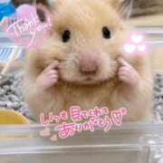 ヒメ日記 2026/09/02 02:23 投稿 体験なな ミセスコレクション