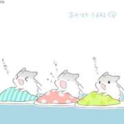 ヒメ日記 2026/09/10 12:03 投稿 体験なな ミセスコレクション