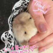 ヒメ日記 2026/09/11 00:53 投稿 体験なな ミセスコレクション