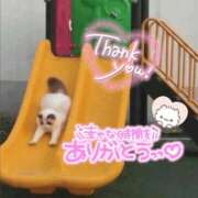 ヒメ日記 2026/09/15 02:13 投稿 体験なな ミセスコレクション