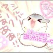 ヒメ日記 2026/09/20 03:03 投稿 体験なな ミセスコレクション