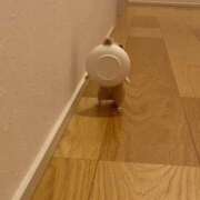 ヒメ日記 2026/09/23 12:03 投稿 体験なな ミセスコレクション