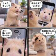 ヒメ日記 2026/09/30 08:14 投稿 体験なな ミセスコレクション