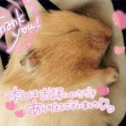ヒメ日記 2026/10/01 02:03 投稿 体験なな ミセスコレクション
