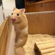 ヒメ日記 2026/10/03 12:05 投稿 体験なな ミセスコレクション