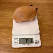 ヒメ日記 2026/10/07 08:13 投稿 体験なな ミセスコレクション