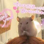 ヒメ日記 2026/10/09 01:33 投稿 体験なな ミセスコレクション