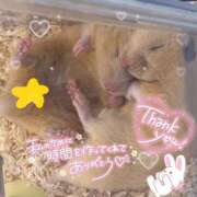 ヒメ日記 2026/10/11 03:13 投稿 体験なな ミセスコレクション