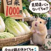 ヒメ日記 2026/10/12 12:23 投稿 体験なな ミセスコレクション