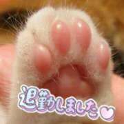 ヒメ日記 2025/03/11 02:46 投稿 りりか【純度100％真正ドM】 なすがママされるがママ 宇都宮