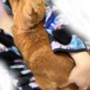 ヒメ日記 2025/03/22 03:56 投稿 りりか【純度100％真正ドM】 なすがママされるがママ 宇都宮