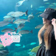 ヒメ日記 2025/09/14 03:58 投稿 りりか【純度100％真正ドM】 なすがママされるがママ 宇都宮