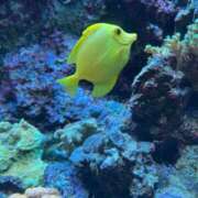 ヒメ日記 2025/06/29 01:11 投稿 ゆん THE ESUTE 渋谷