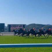 ヒメ日記 2026/03/01 20:27 投稿 ゆん THE ESUTE 渋谷