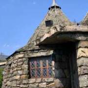 ヒメ日記 2025/05/11 17:03 投稿 ひみか 奥様特急三条店