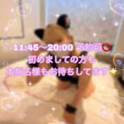 ヒメ日記 2025/10/11 12:23 投稿 ひみか 奥様特急三条店