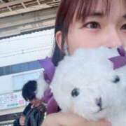 ヒメ日記 2025/09/29 00:11 投稿 ふゆ 山梨　デリヘル No.1 『Sコレクション』 甲府