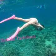 ヒメ日記 2025/07/23 18:41 投稿 Honoka Tachibana ELEGANT－エレガント－