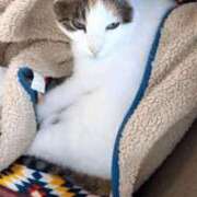 ヒメ日記 2025/04/27 16:26 投稿 ういか 町田人妻城