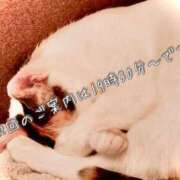 ヒメ日記 2025/06/13 16:51 投稿 ういか 町田人妻城