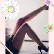 ヒメ日記 2025/03/21 11:34 投稿 川原 熟女の風俗最終章 新横浜店