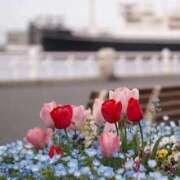 ヒメ日記 2025/05/02 18:06 投稿 川原 熟女の風俗最終章 新横浜店