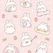 ヒメ日記 2025/02/13 11:21 投稿 かれん チューリップ姫路店