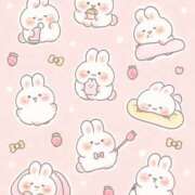 ヒメ日記 2025/11/23 22:28 投稿 かれん チューリップ姫路店