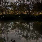 ヒメ日記 2025/09/24 23:06 投稿 まりな ぼくらのデリヘルランドin久喜店