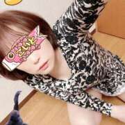 ヒメ日記 2025/05/11 11:57 投稿 こいと 完熟ばなな札幌・すすきの