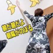 ヒメ日記 2025/05/30 06:49 投稿 こいと 完熟ばなな札幌・すすきの