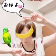 ヒメ日記 2025/06/10 06:49 投稿 こいと 完熟ばなな札幌・すすきの