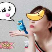 ヒメ日記 2025/09/23 07:49 投稿 こいと 完熟ばなな札幌・すすきの