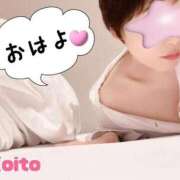 ヒメ日記 2025/10/02 08:29 投稿 こいと 完熟ばなな札幌・すすきの