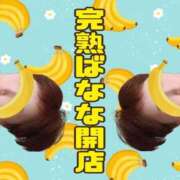 ヒメ日記 2025/10/03 10:39 投稿 こいと 完熟ばなな札幌・すすきの