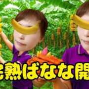 ヒメ日記 2025/10/09 10:20 投稿 こいと 完熟ばなな札幌・すすきの
