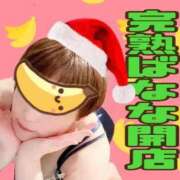 ヒメ日記 2025/12/03 10:53 投稿 こいと 完熟ばなな札幌・すすきの