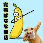 ヒメ日記 2025/12/31 11:07 投稿 こいと 完熟ばなな札幌・すすきの