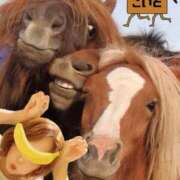 ヒメ日記 2026/01/02 15:09 投稿 こいと 完熟ばなな札幌・すすきの