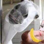 ヒメ日記 2026/01/04 09:42 投稿 こいと 完熟ばなな札幌・すすきの