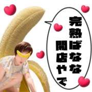 ヒメ日記 2026/01/14 10:29 投稿 こいと 完熟ばなな札幌・すすきの