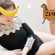 ヒメ日記 2026/01/24 09:49 投稿 こいと 完熟ばなな札幌・すすきの