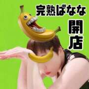 ヒメ日記 2026/01/26 10:19 投稿 こいと 完熟ばなな札幌・すすきの