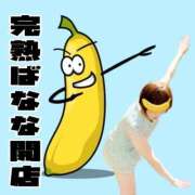 ヒメ日記 2026/05/03 10:13 投稿 こいと 完熟ばなな札幌・すすきの