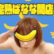 ヒメ日記 2026/05/28 10:29 投稿 こいと 完熟ばなな札幌・すすきの