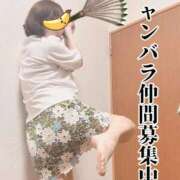 ヒメ日記 2026/06/29 09:59 投稿 こいと 完熟ばなな札幌・すすきの